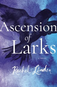 ascension-of-larks