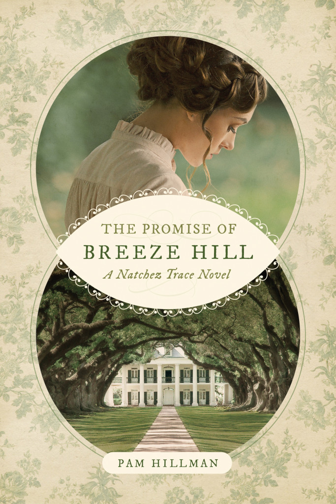 the-promise-of-breeze-hill