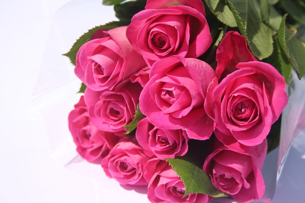 pink-roses-3941883_1920