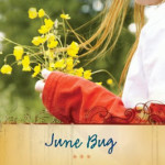 June Bug by Chris Fabry ~ Tracy’s Take